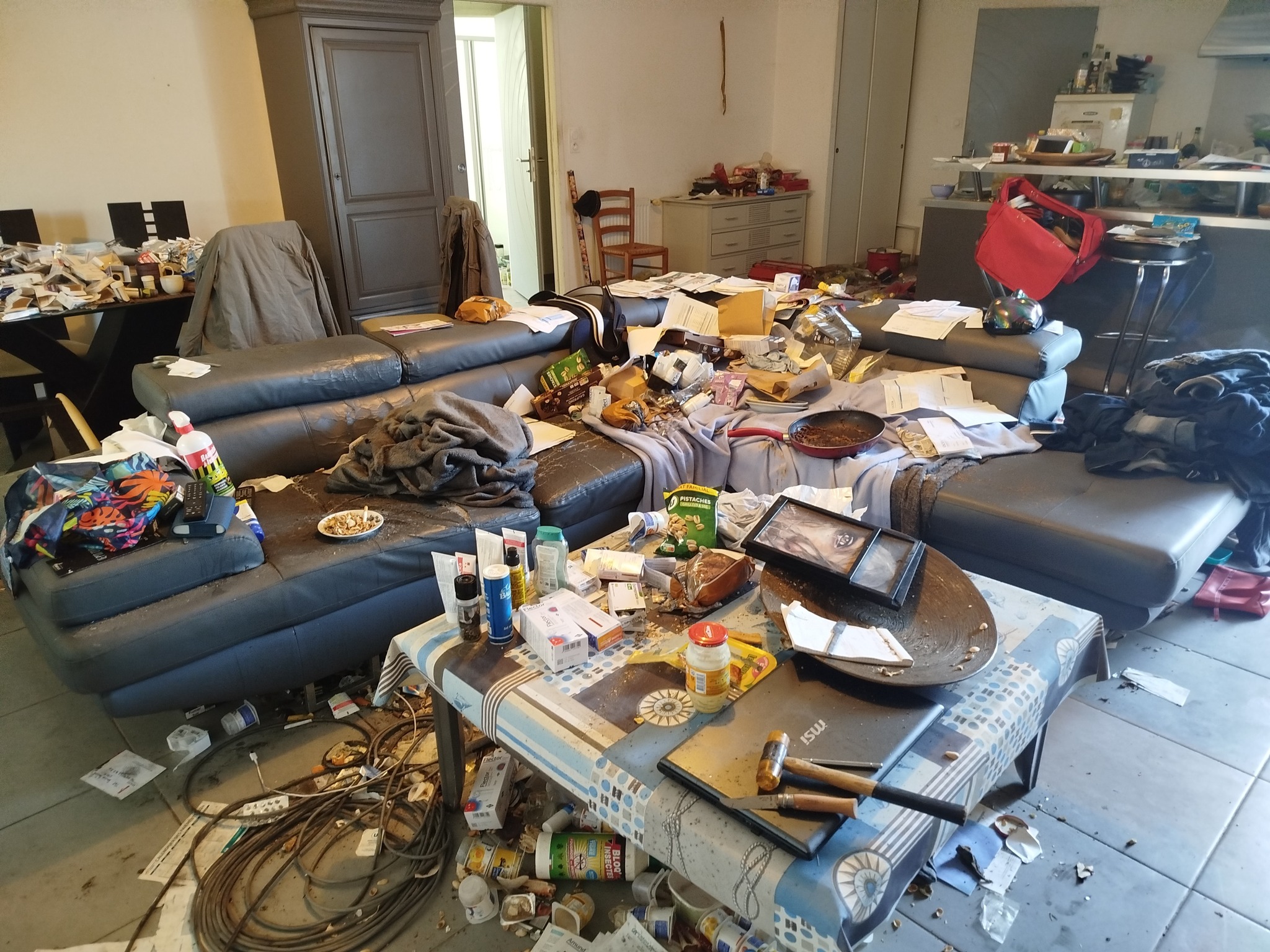 Salon avant nettoyage — état initial